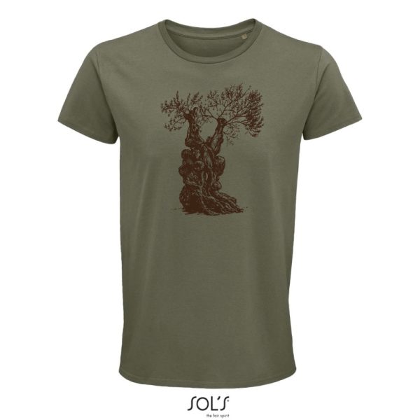 Olive tree